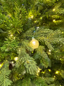 Dewdrop Spruce