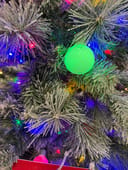 Glacier Fir