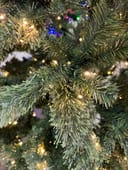 Celebration Pine