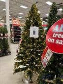 Glendale Spruce