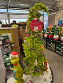 Lawndale Spruce