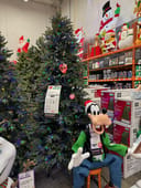 Jackson Noble Fir