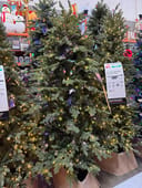 Montrose Douglas Fir