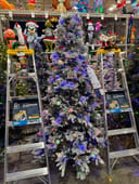 Candlewood Pine