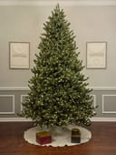 Vermont White Spruce