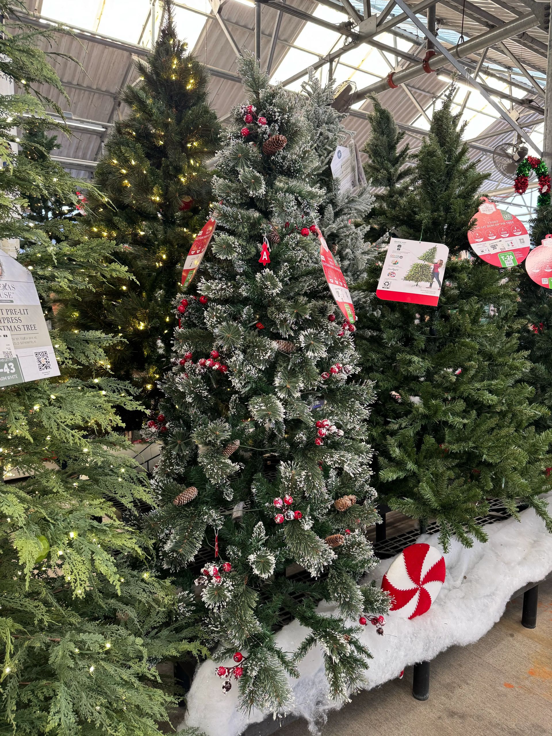 Slim frosted pine with white-dusted PVC branches, sparse red berry/pinecone decor, warm white lights, moderate gaps visible