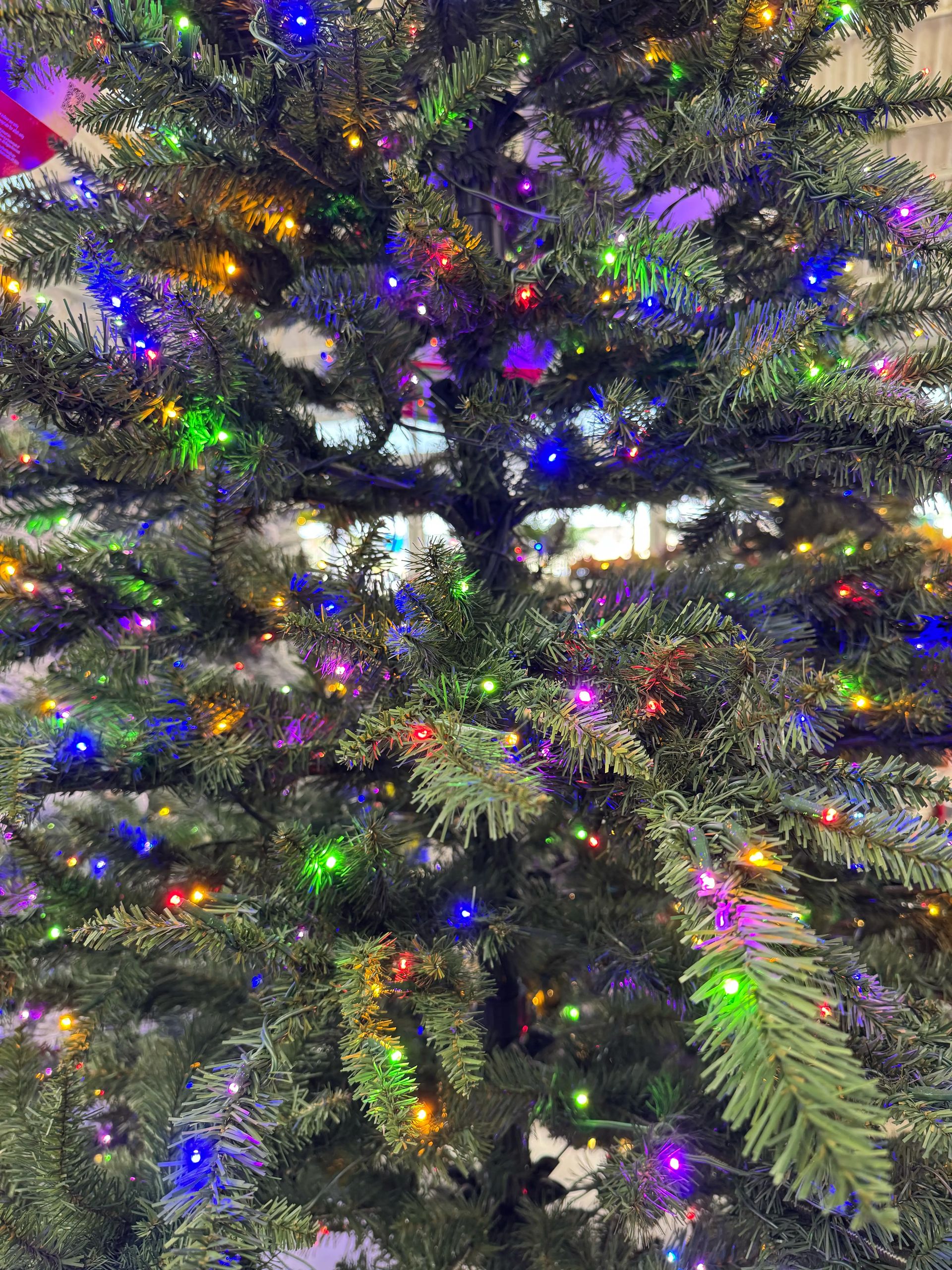Dense PVC pine branches with multicolor LED lights throughout, good coverage with blue, green, purple, and amber bulbs