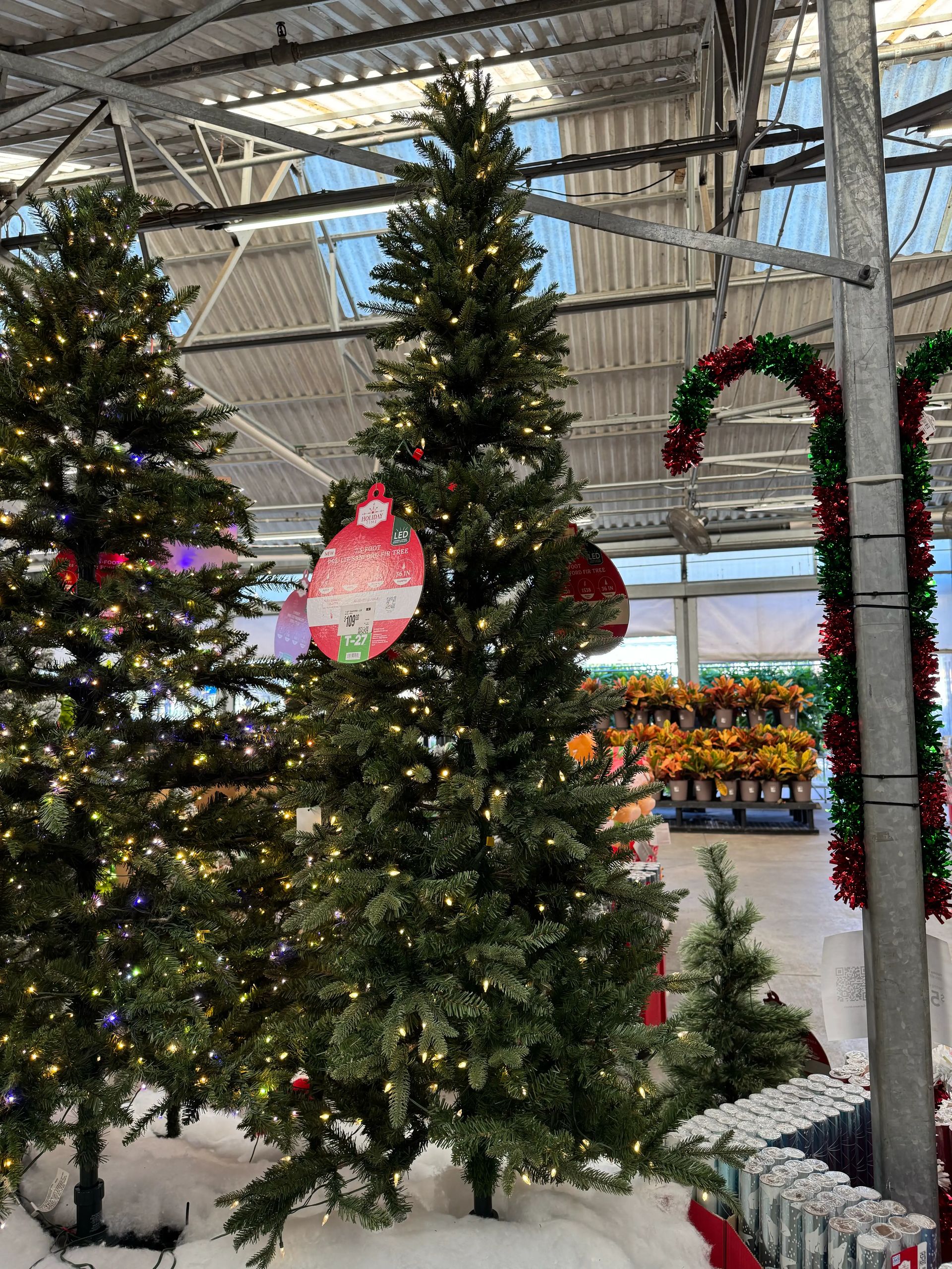 Two fir-style trees with mixed PVC/PE needles, moderate fullness, warm white lights, price tags visible on branches