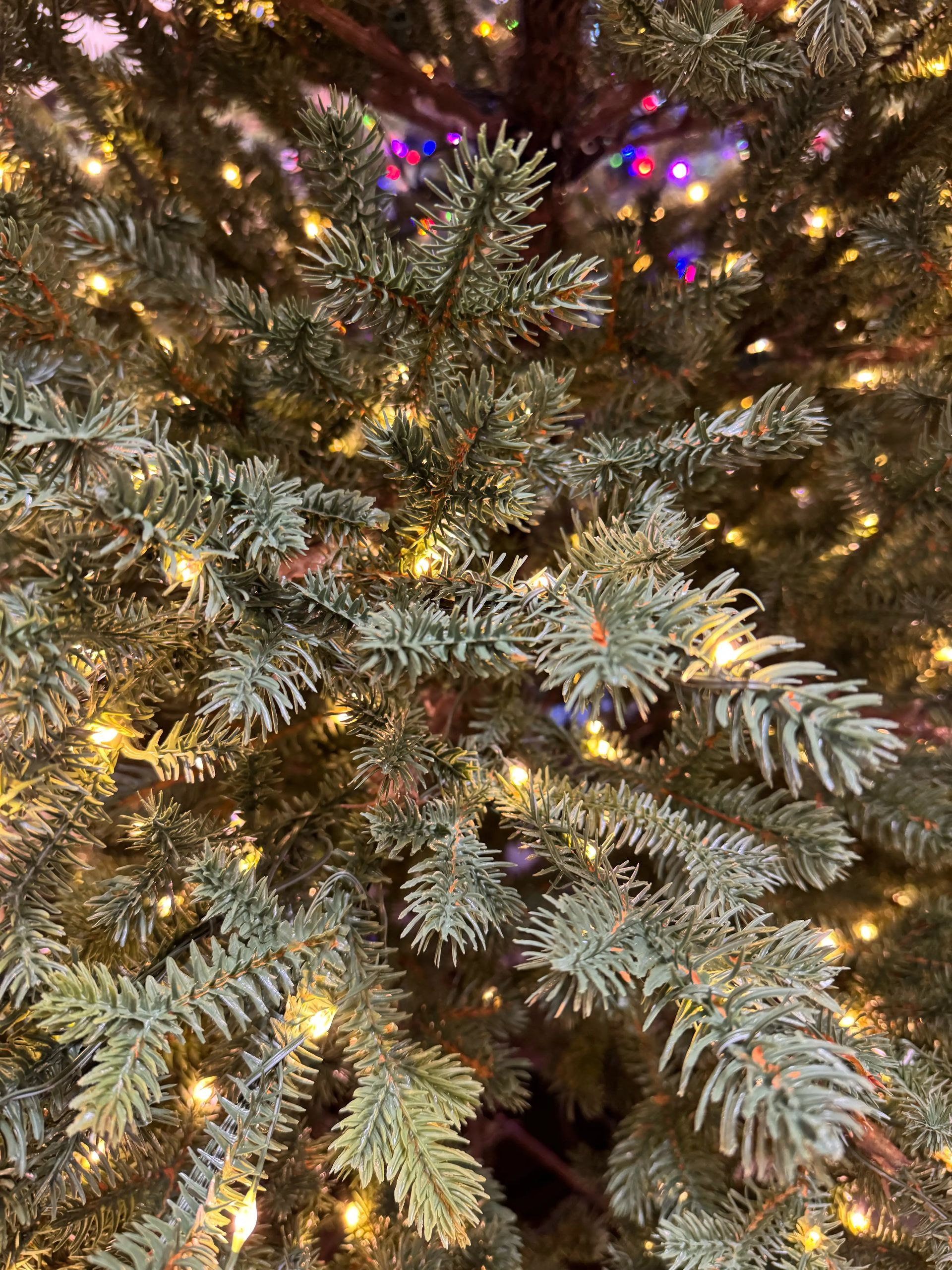 Dense molded PE fir needles in blue-green, warm micro LEDs evenly distributed, multicolor lights visible in background