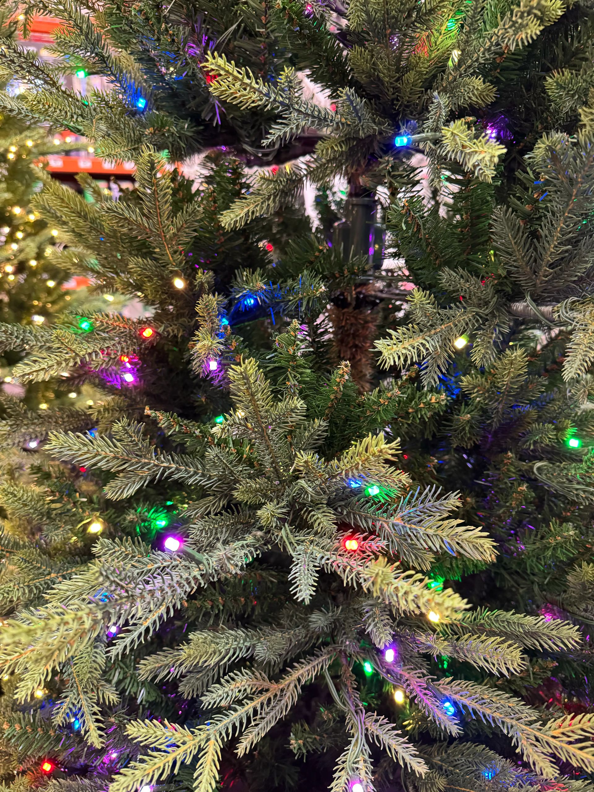 Mixed PVC and molded PE fir needles, multicolor LED lights throughout, moderate density with some visible gaps