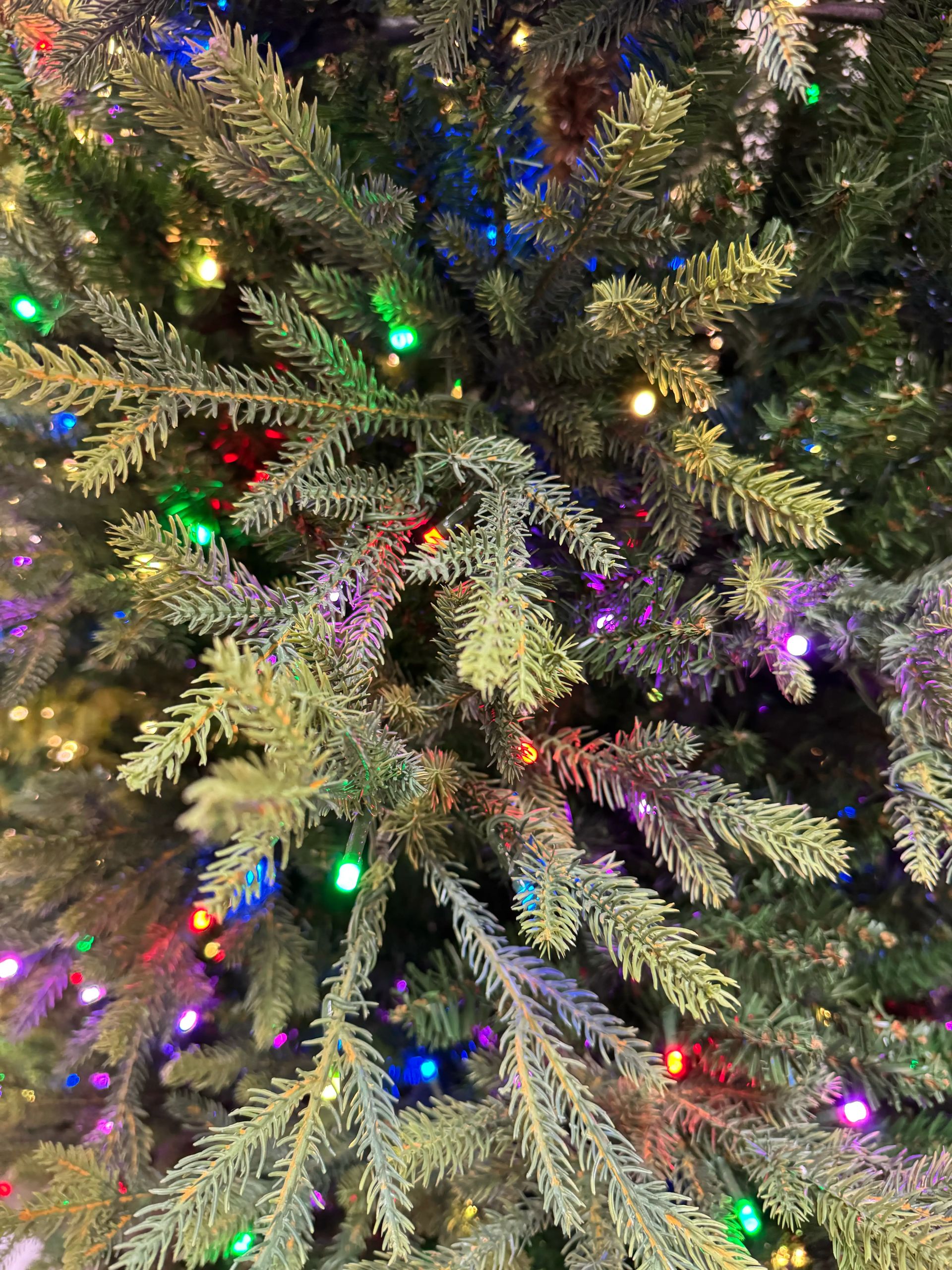 Mixed PVC and molded PE fir needles, dense multicolor LED lights throughout, realistic texture with visible depth