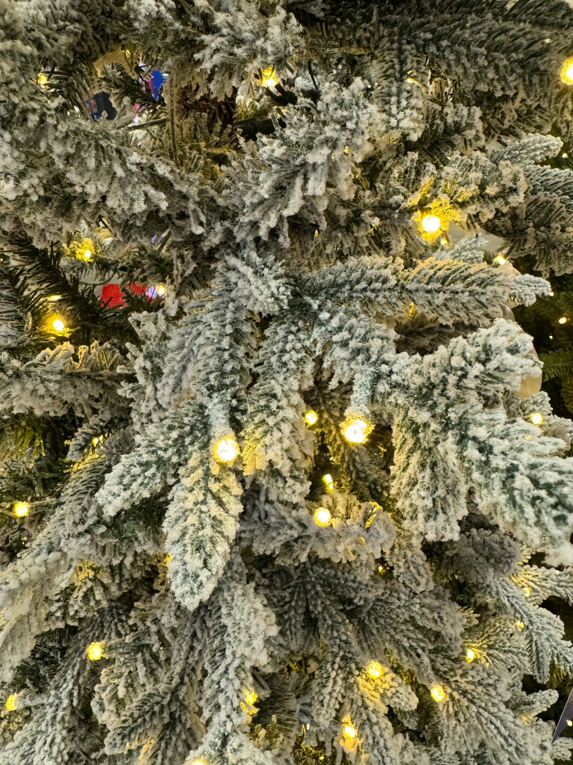 Heavy white flocked fir branches with warm white LED lights, dense coverage, minimal visible gaps, glitter finish