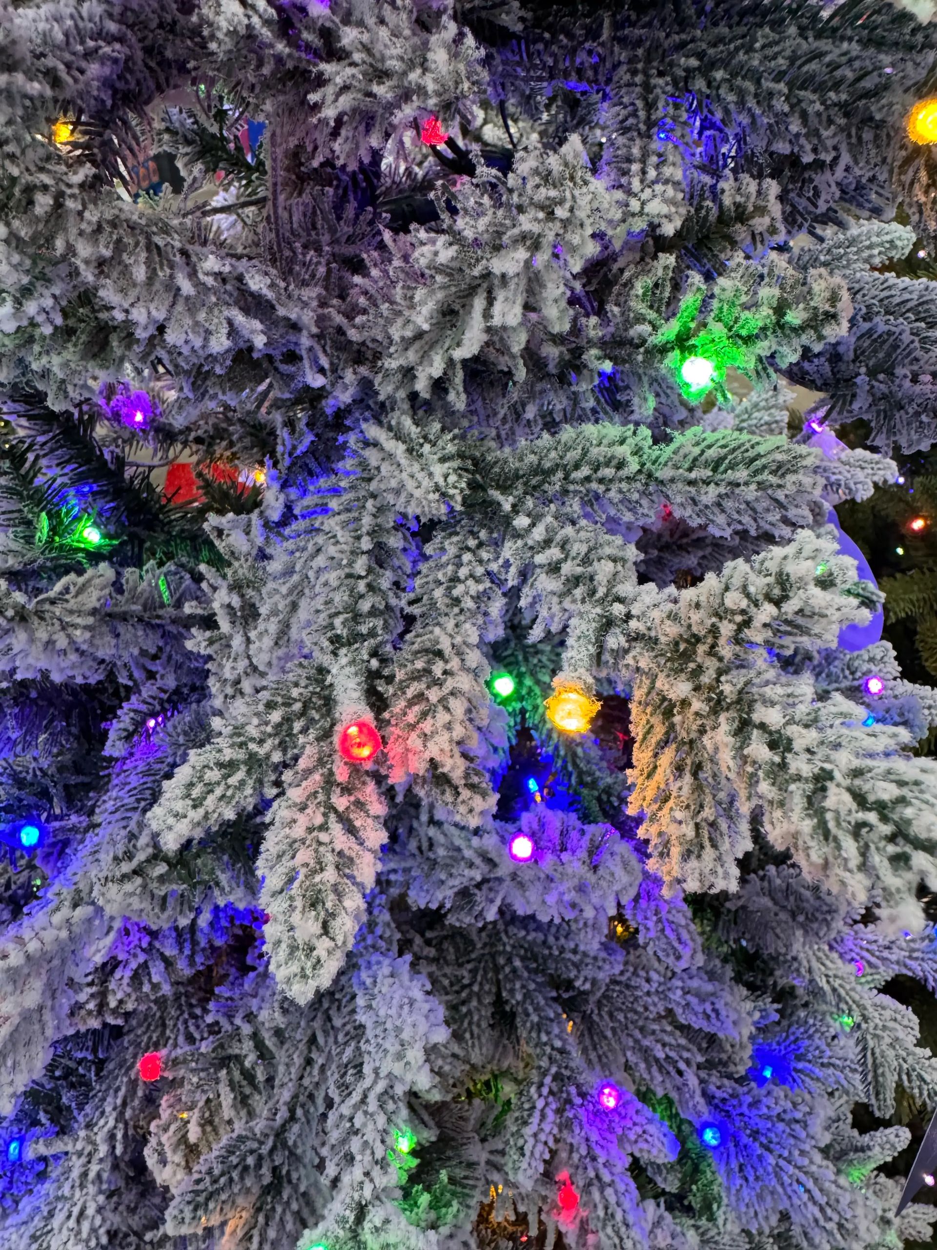Dense flocked fir branches with heavy white coating, multicolor LED lights throughout, visible pinecones and red berries