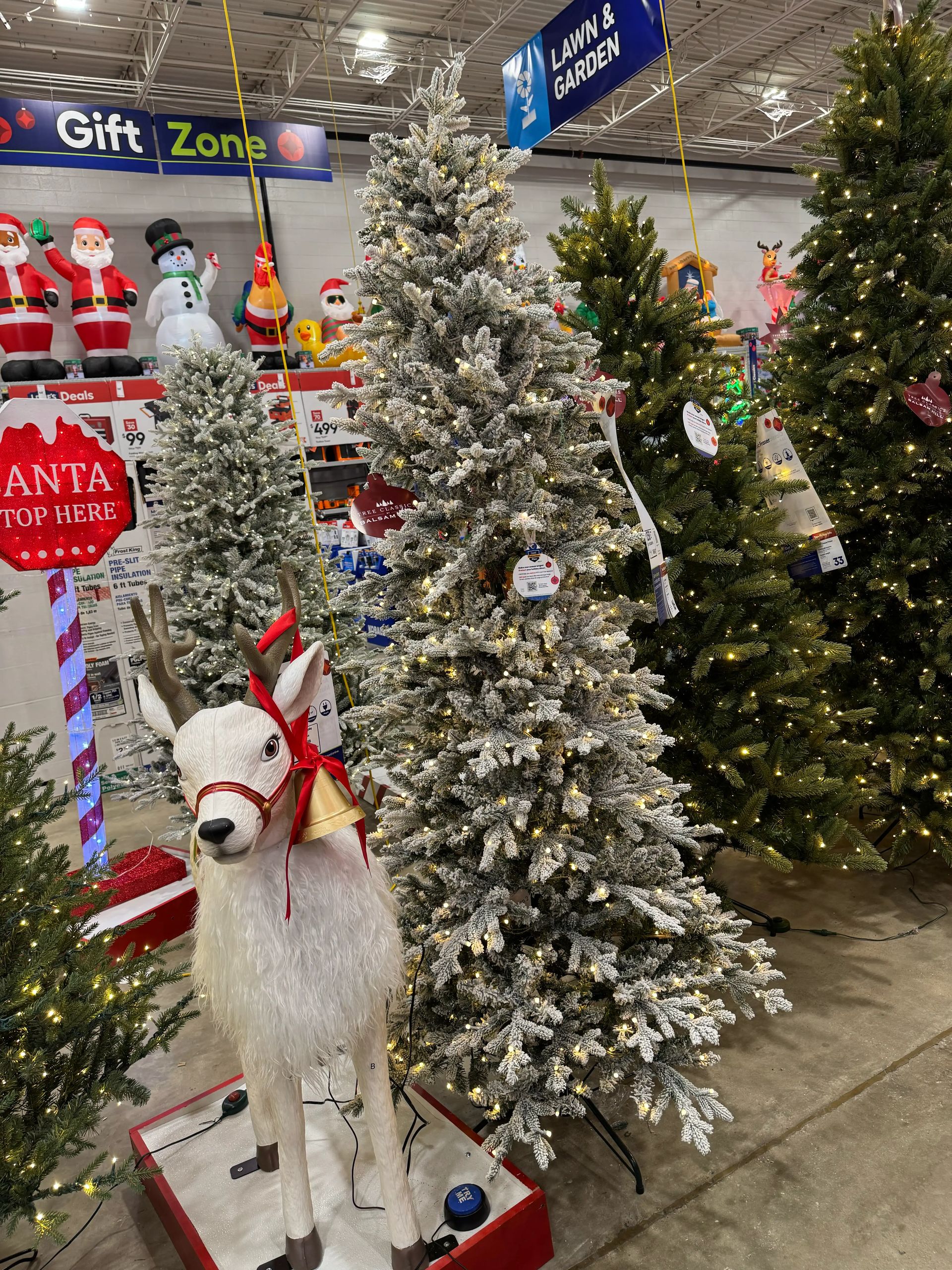 Flocked fir-style tree with heavy white coating, warm white lights throughout, moderate branch density, full shape