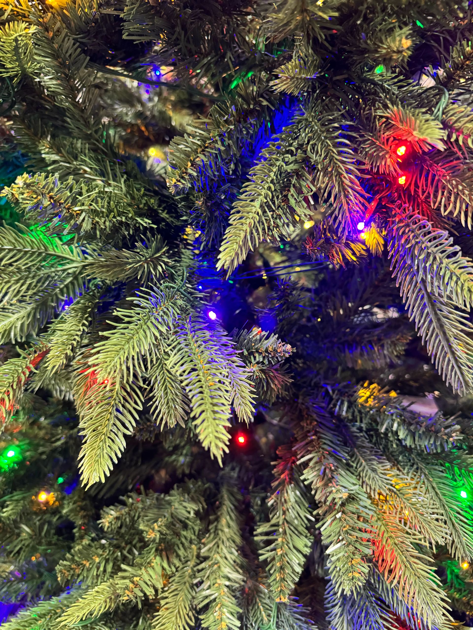 Mixed PVC and PE needles with multicolor LED lights, dense coverage, branches illuminated in red, blue, and green