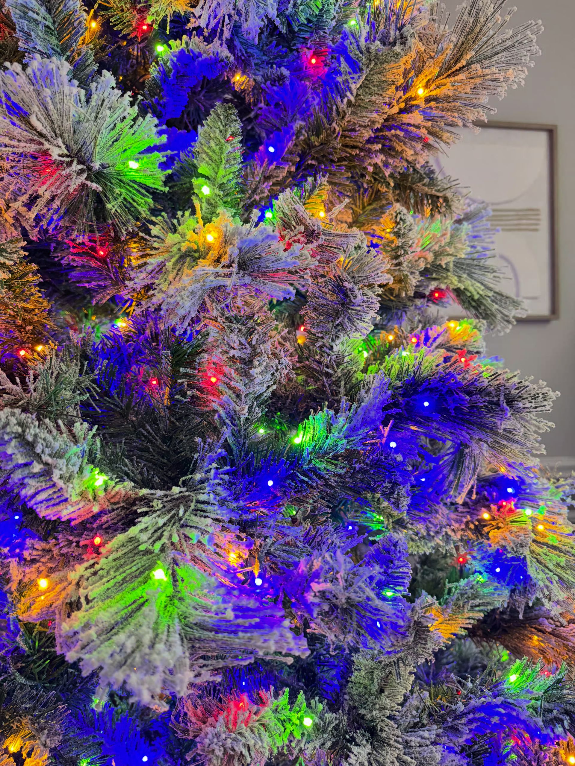 Costco Glitter Flocked Cashmere - view 3