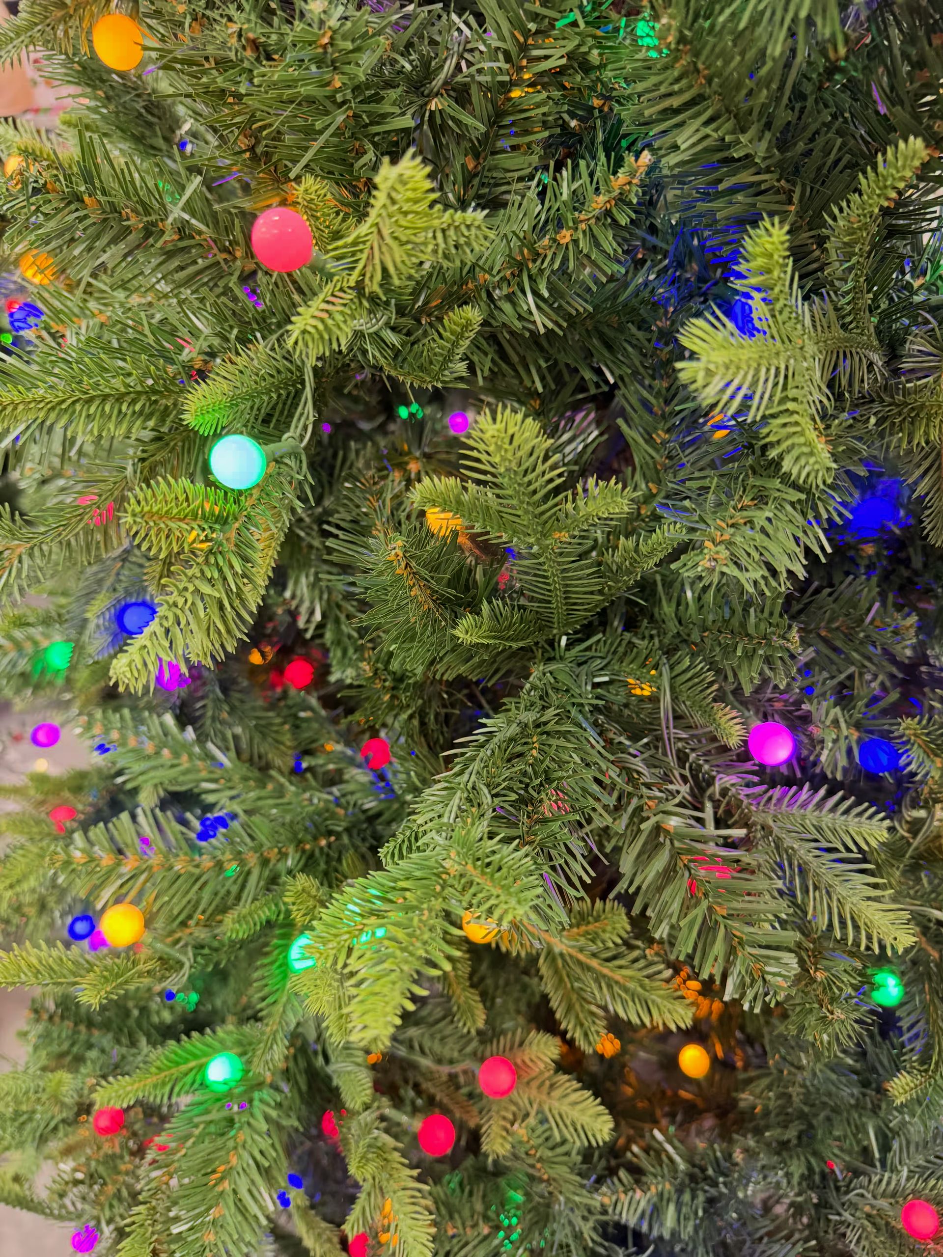 At Home Grand Park Spruce - view 4
