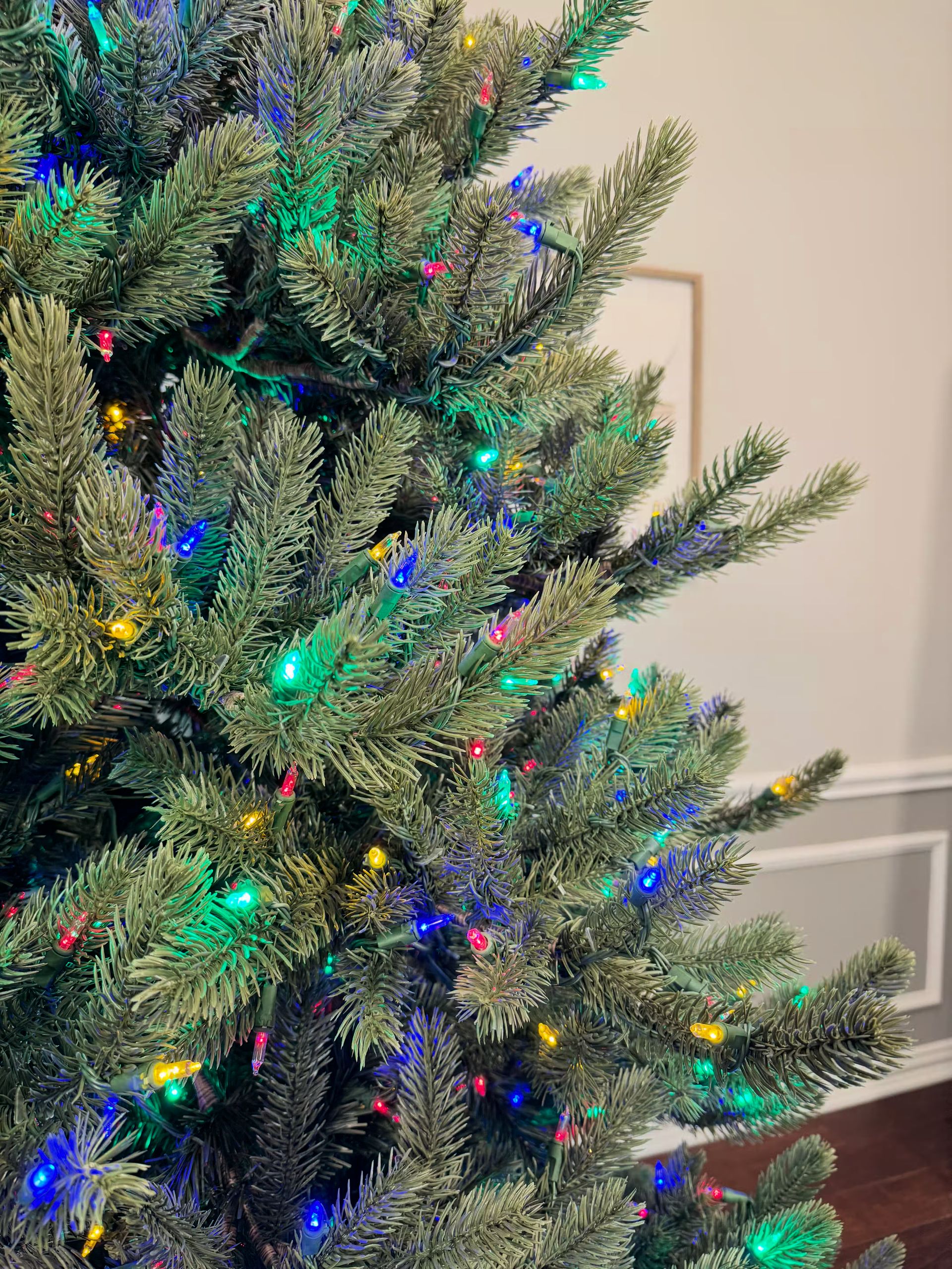 Room lights on with a close up of branch tips with color lights and the wall in the background.