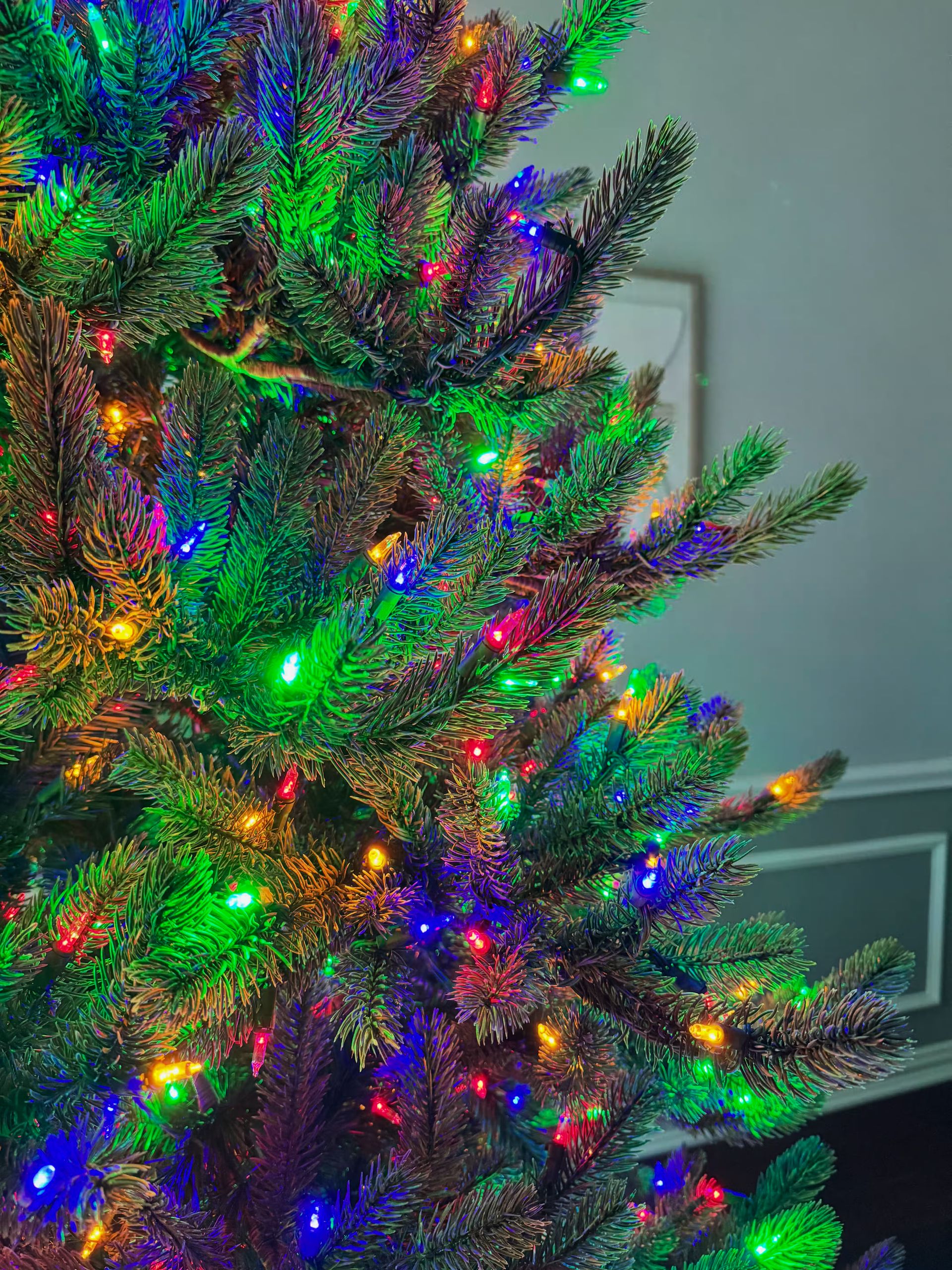 Room lights off with a close up of branch tips with color lights and the wall in the background.