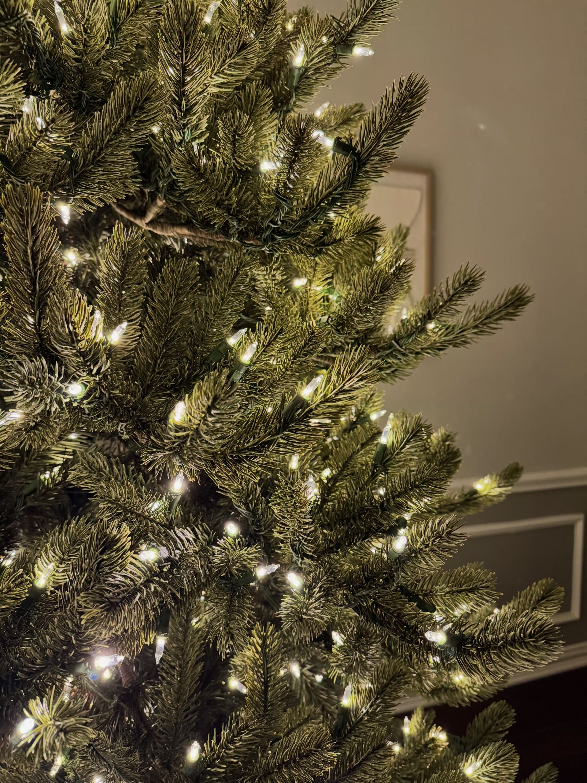 Room lights off with a close up of branch tips with clear lights and the wall in the background.