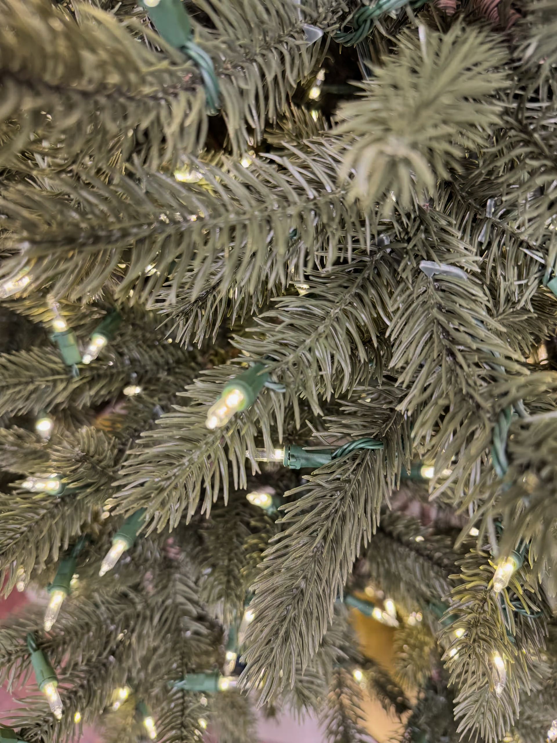 Room lights on with a close up of branch tips with clear lights. 