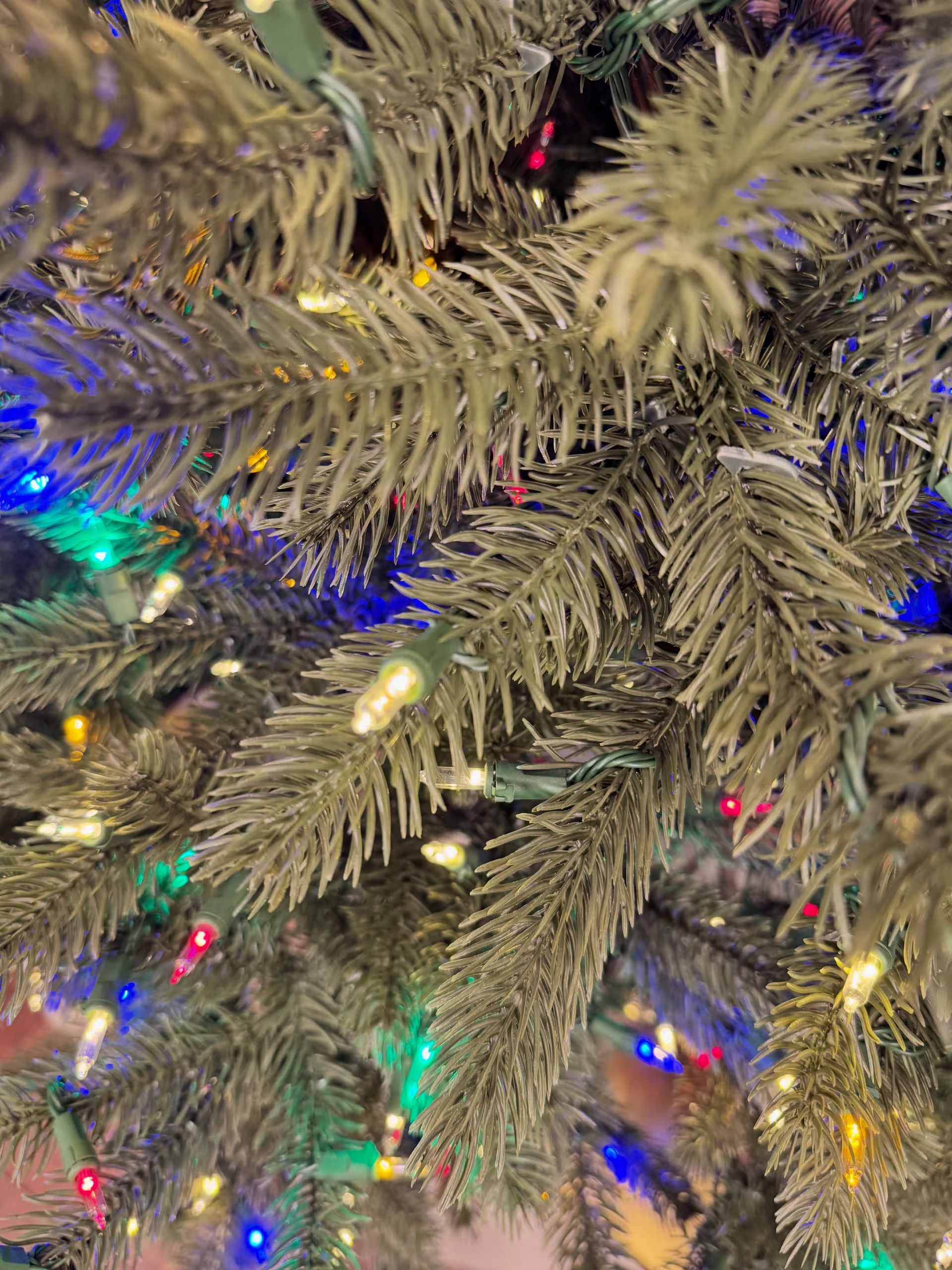Room lights on with a close up of branch tips with clear+color lights. 
