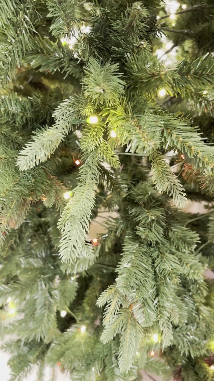 Ashland Melody Spruce - view 9