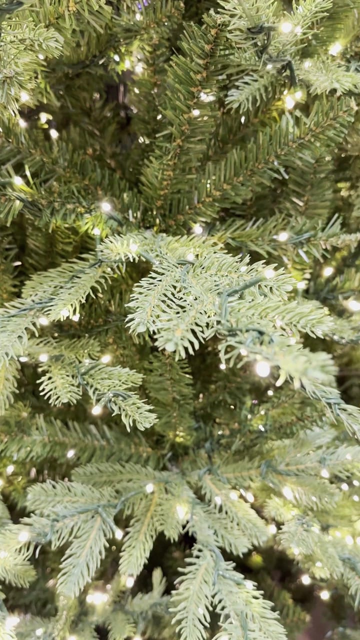 Home Decorators Collection Grand Duchess Twinkling Balsam Fir - view 7