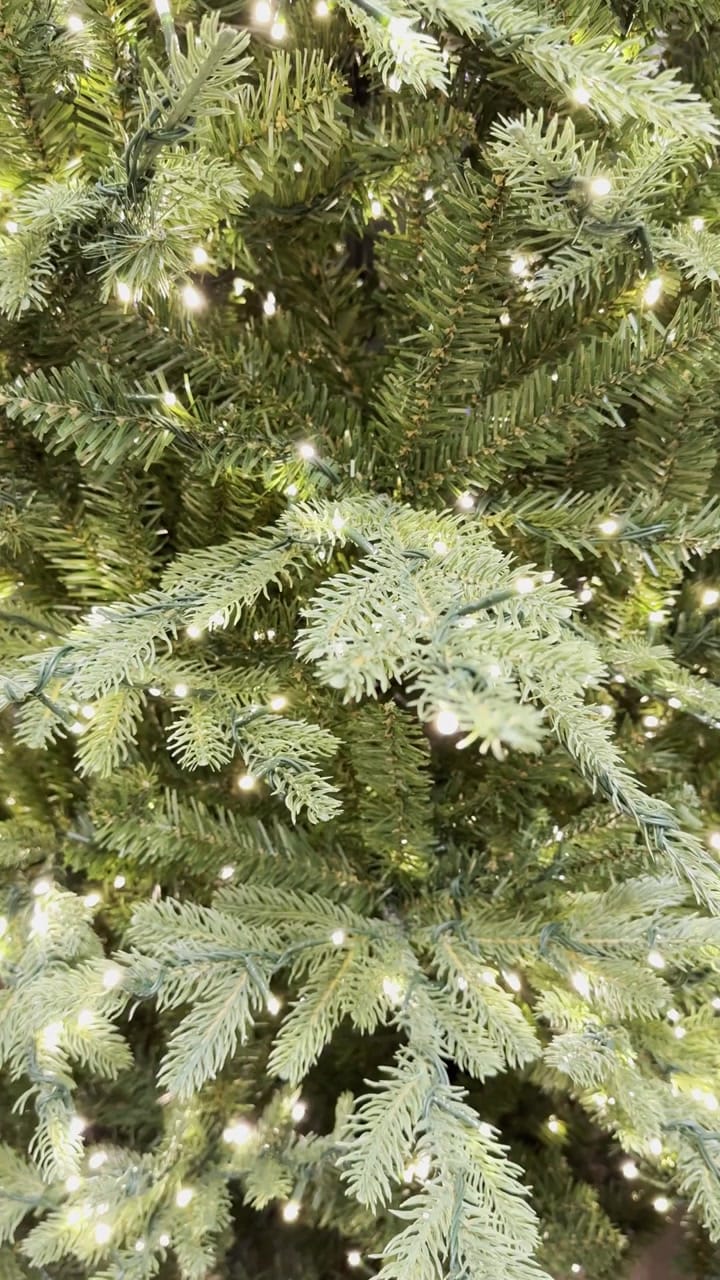 Home Decorators Collection Grand Duchess Twinkling Balsam Fir - view 10
