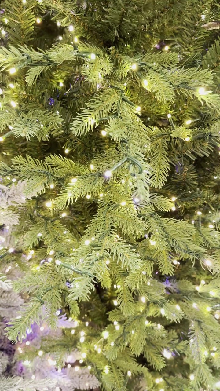 Home Decorators Collection Grand Duchess Twinkling Balsam Fir - view 11