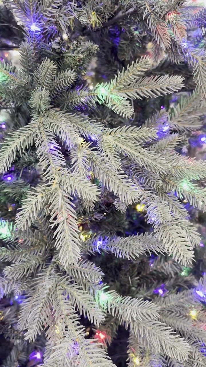 Home Accents Holiday Jackson Noble Fir - view 6