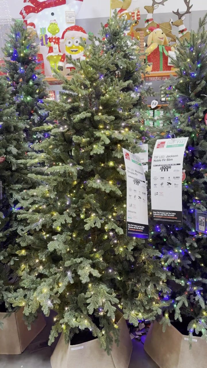 Home Accents Holiday Montrose Douglas Fir - view 9