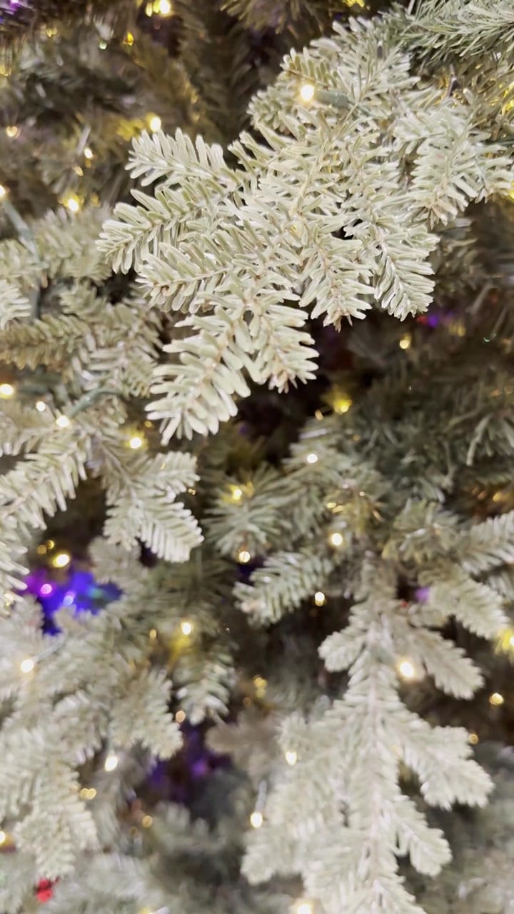 Home Accents Holiday Montrose Douglas Fir - view 12