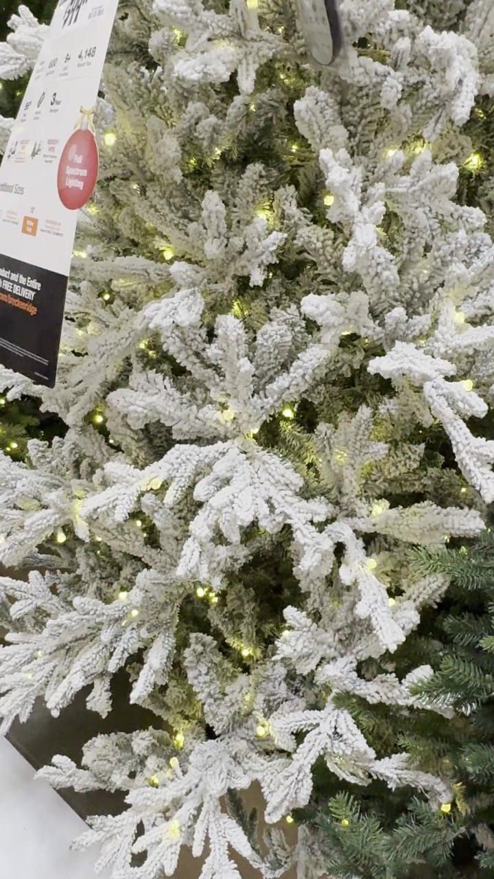 Home Decorators Collection Breckenridge Downswept Fraser Fir - view 23