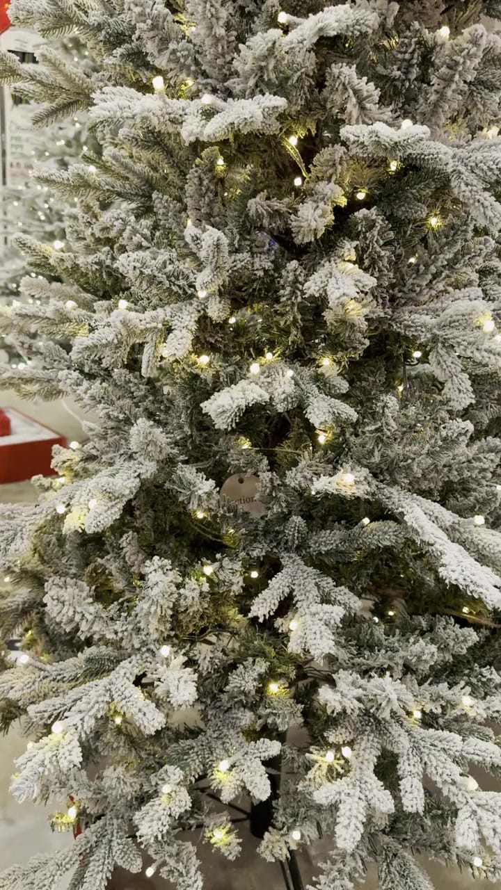 Holiday Living Glacier Fir - view 8