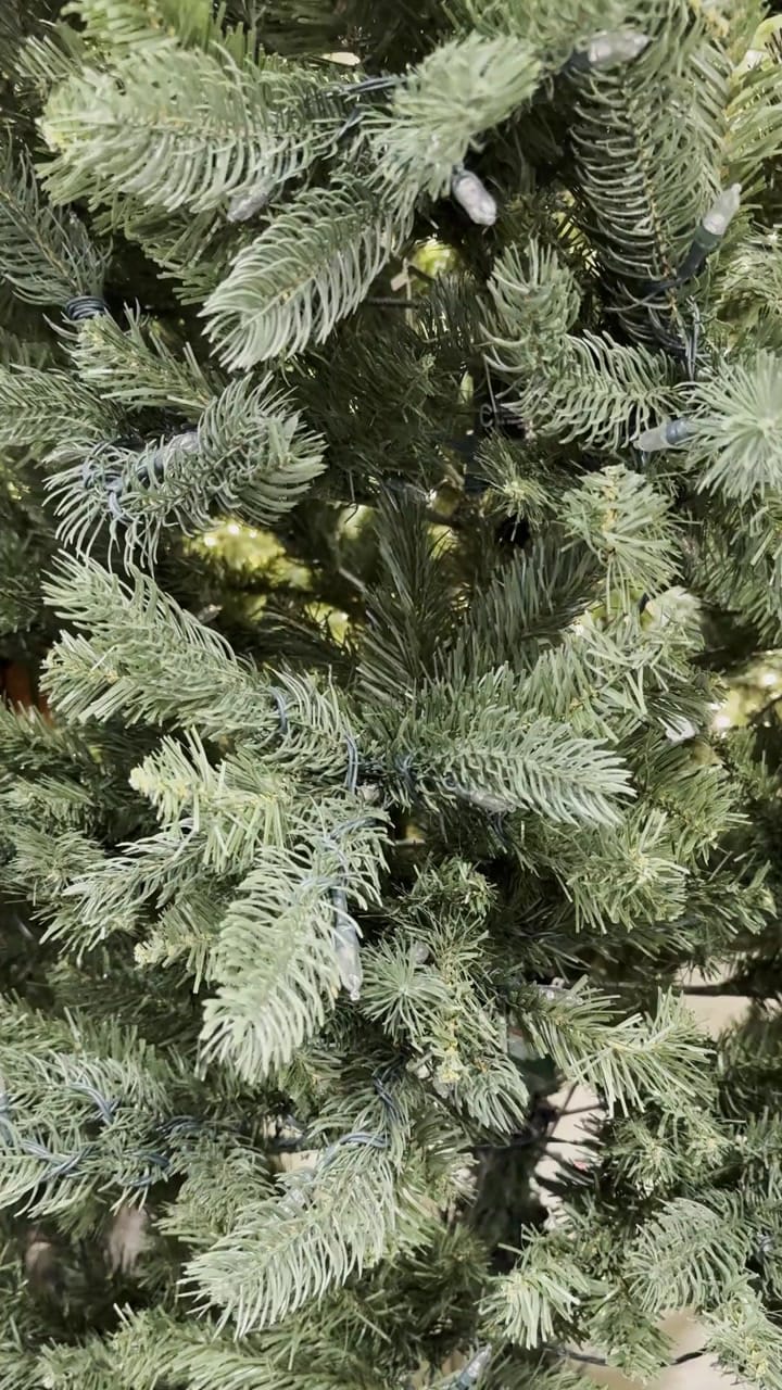 GE Colorado Spruce - view 6