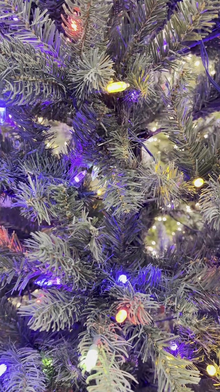 GE Colorado Spruce - view 7
