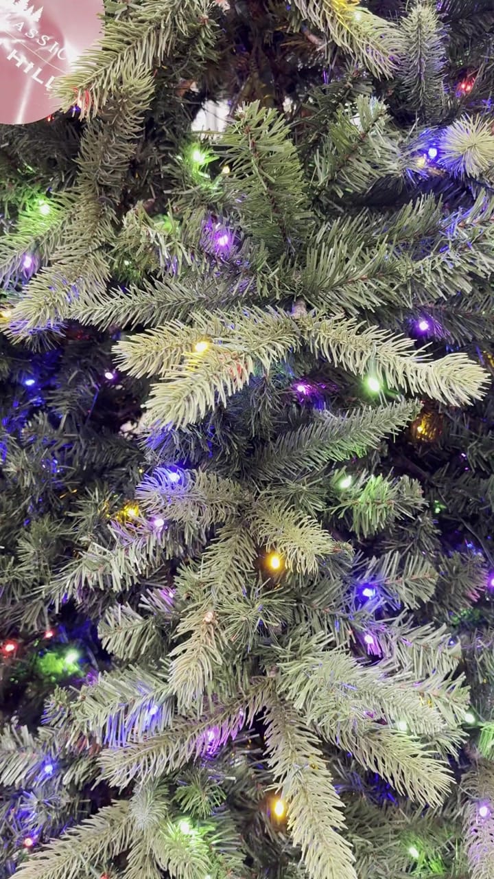 Tree Classics by Balsam Hill Classic Fraser Fir - view 5
